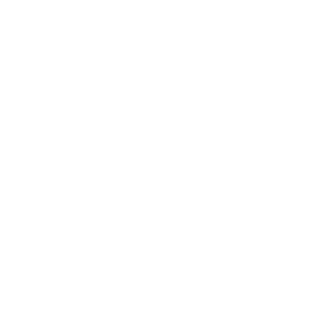 ppp ppp